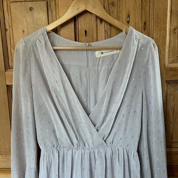 NWT The Impeccable Pig Small V-Neck Dress Metallic Silver Gold‎ Dash Long Sleeve - Picture 2 of 12